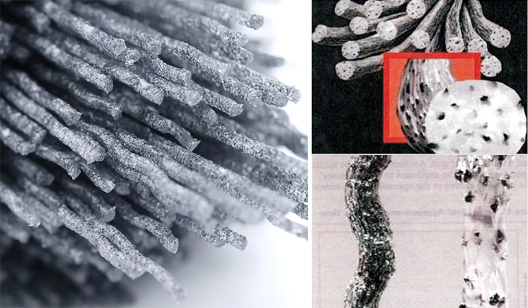 Research & Development